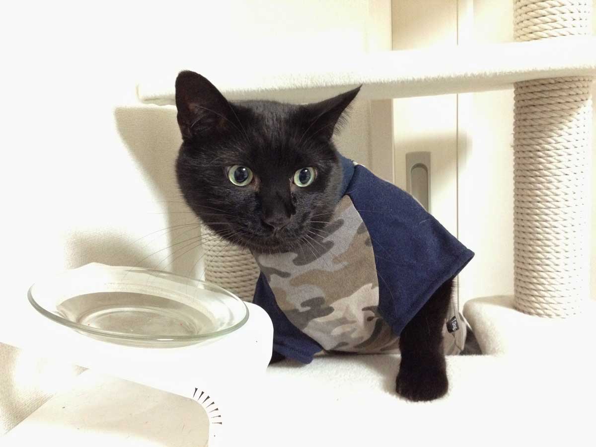 photoshopで集中線を描く方法1