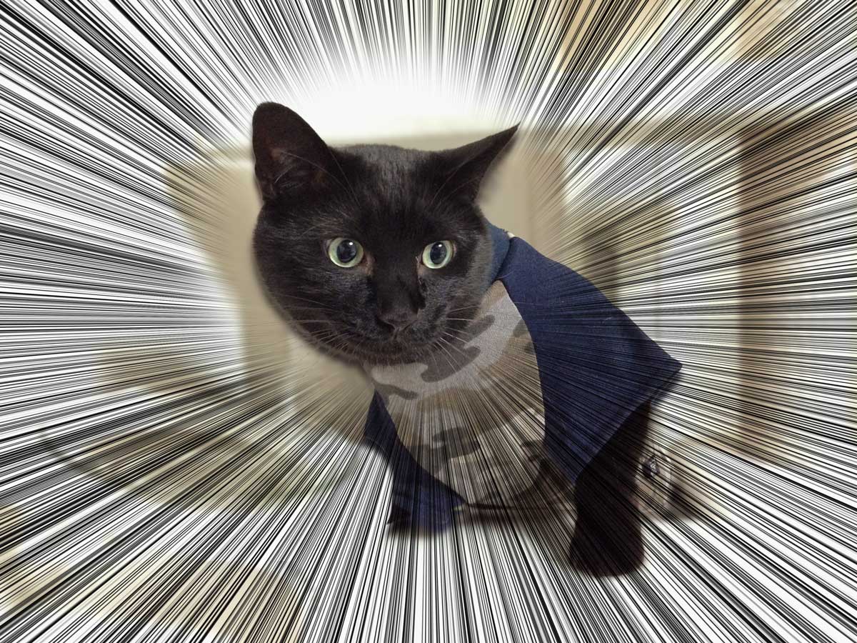 photoshopで集中線を描く方法完成