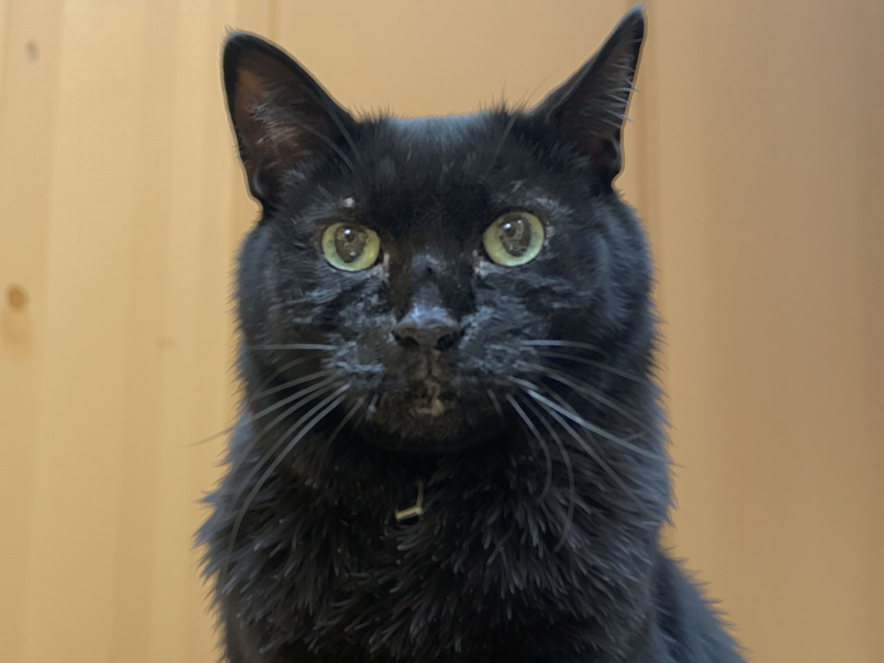 photoshop生成アップスケール「Topaz Bloom」2-2