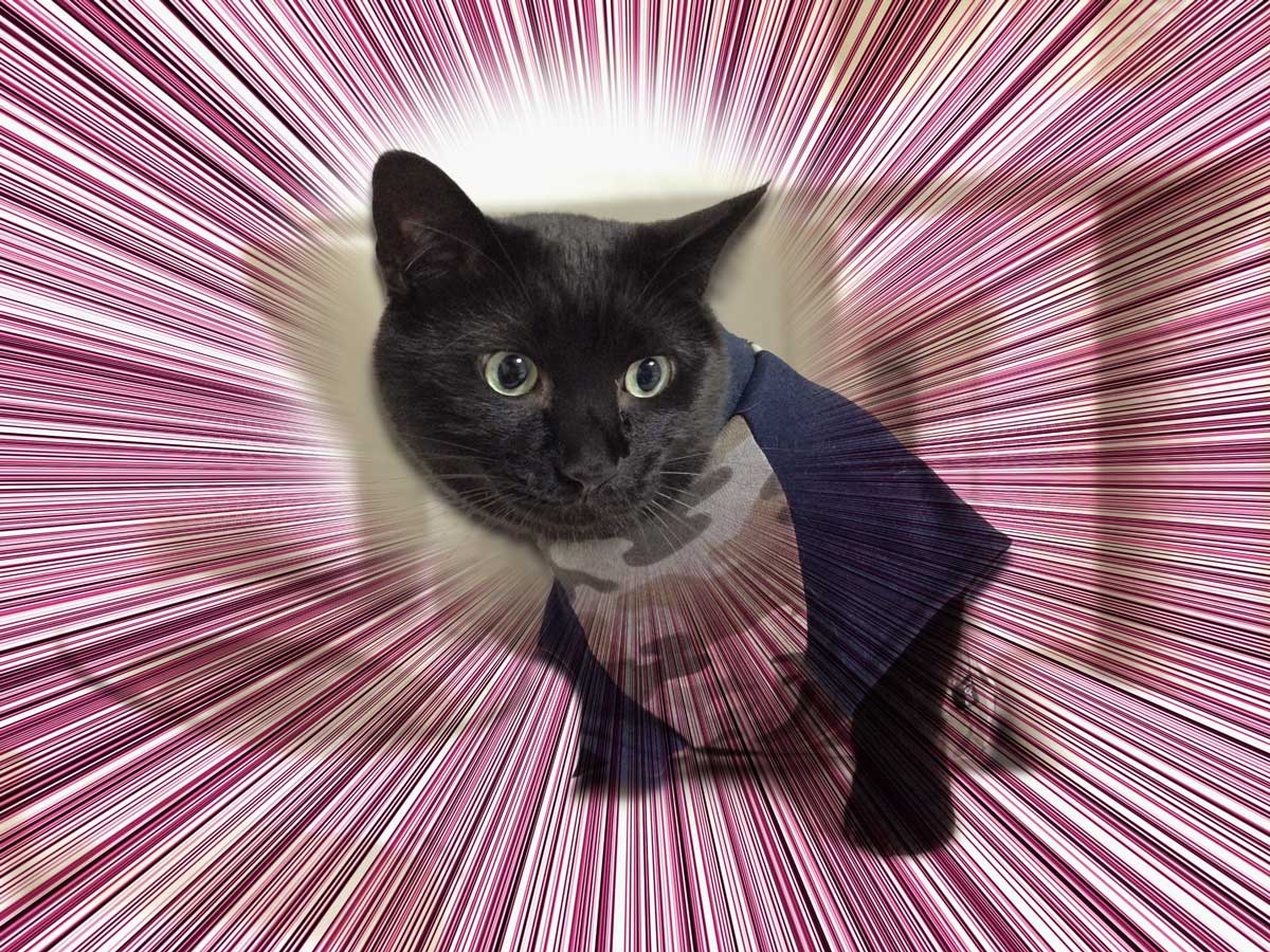 photoshopで集中線を描く方法8-3