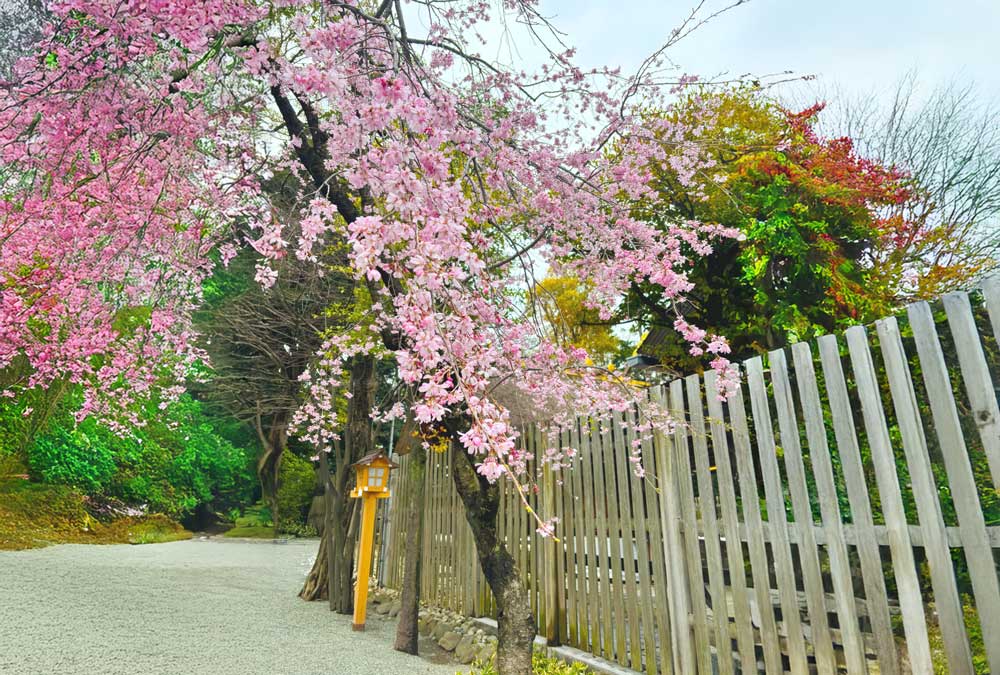 PhotoshopAIで足りない箇所を生成拡張・生成塗りつぶし4-3