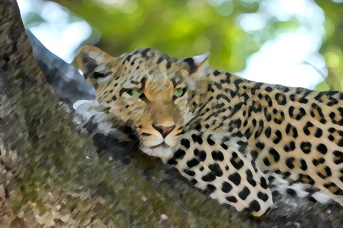 Photoshop油絵風エフェクト1-3ストローク2