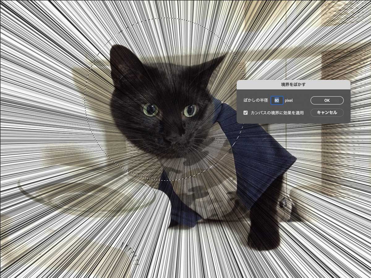 photoshopで集中線を描く方法6-2