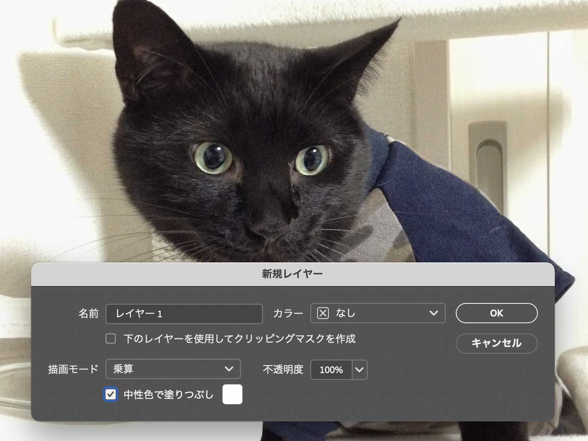 photoshopで集中線を描く方法2-2