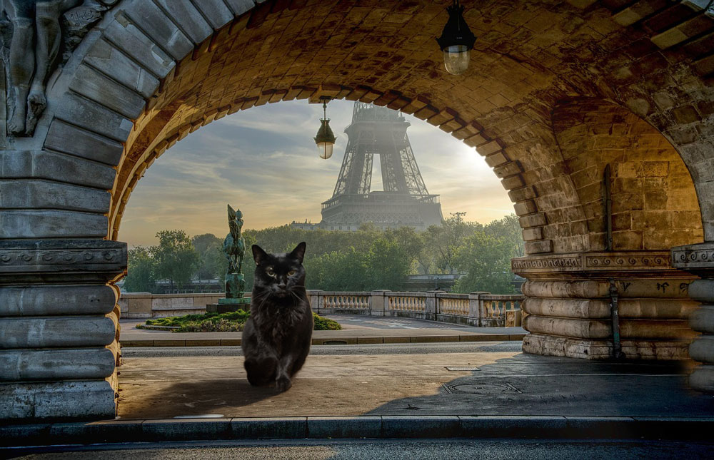 Photoshopで自然に画像を合成する方法2-3背景抜き調和