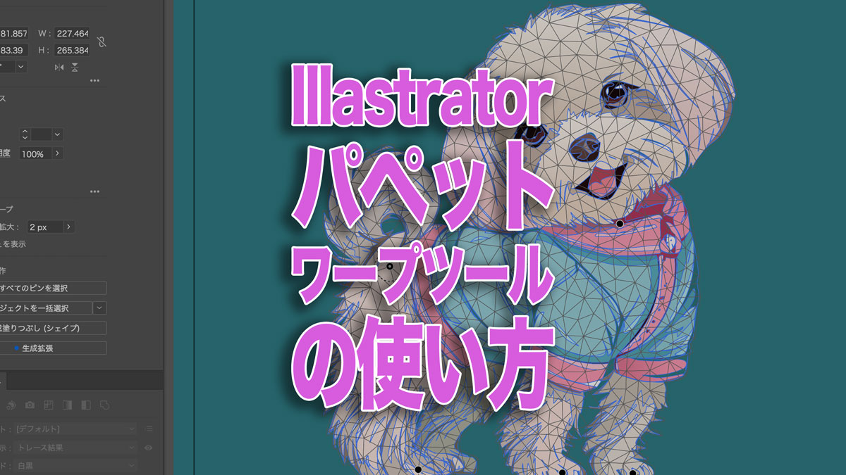 パペットワープツールの使い方｜Illastrator