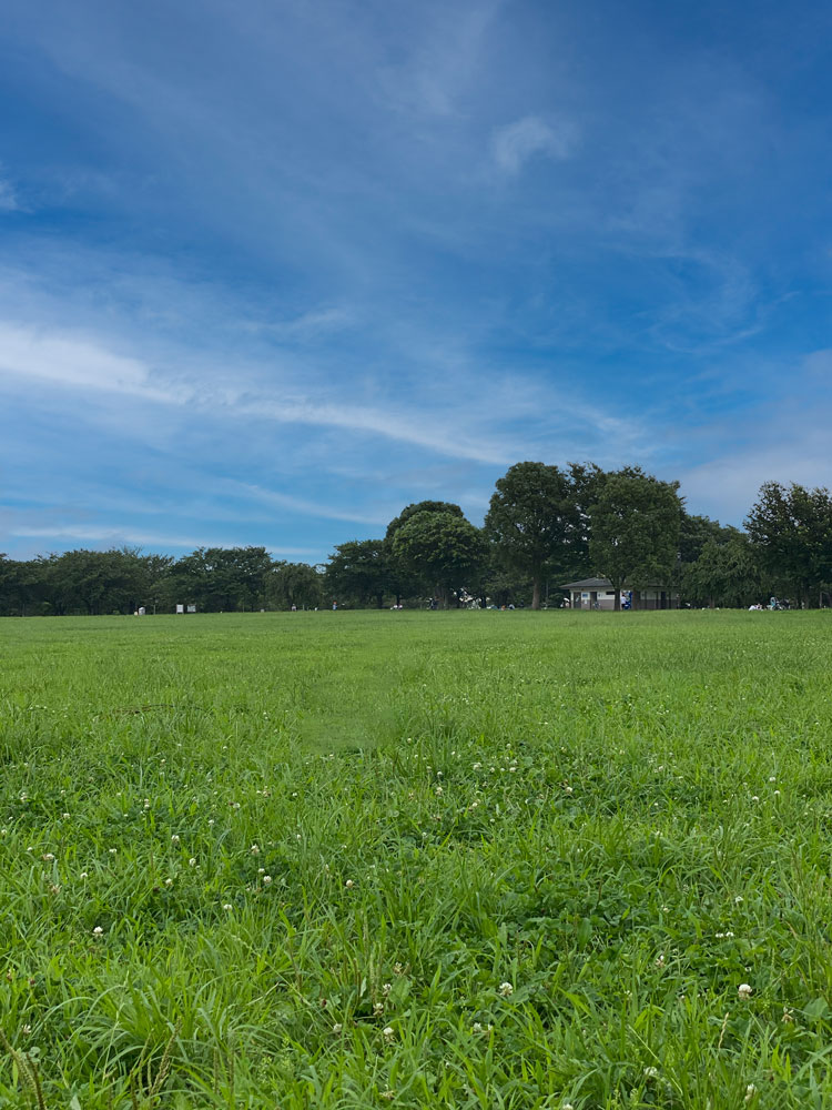 空を置き換えで曇り空を10秒で快晴に！置き換えられた画像