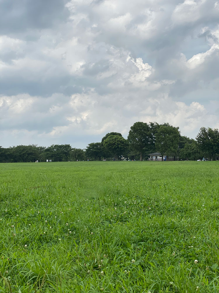 空を置き換えで曇り空を10秒で快晴に！置き換える前